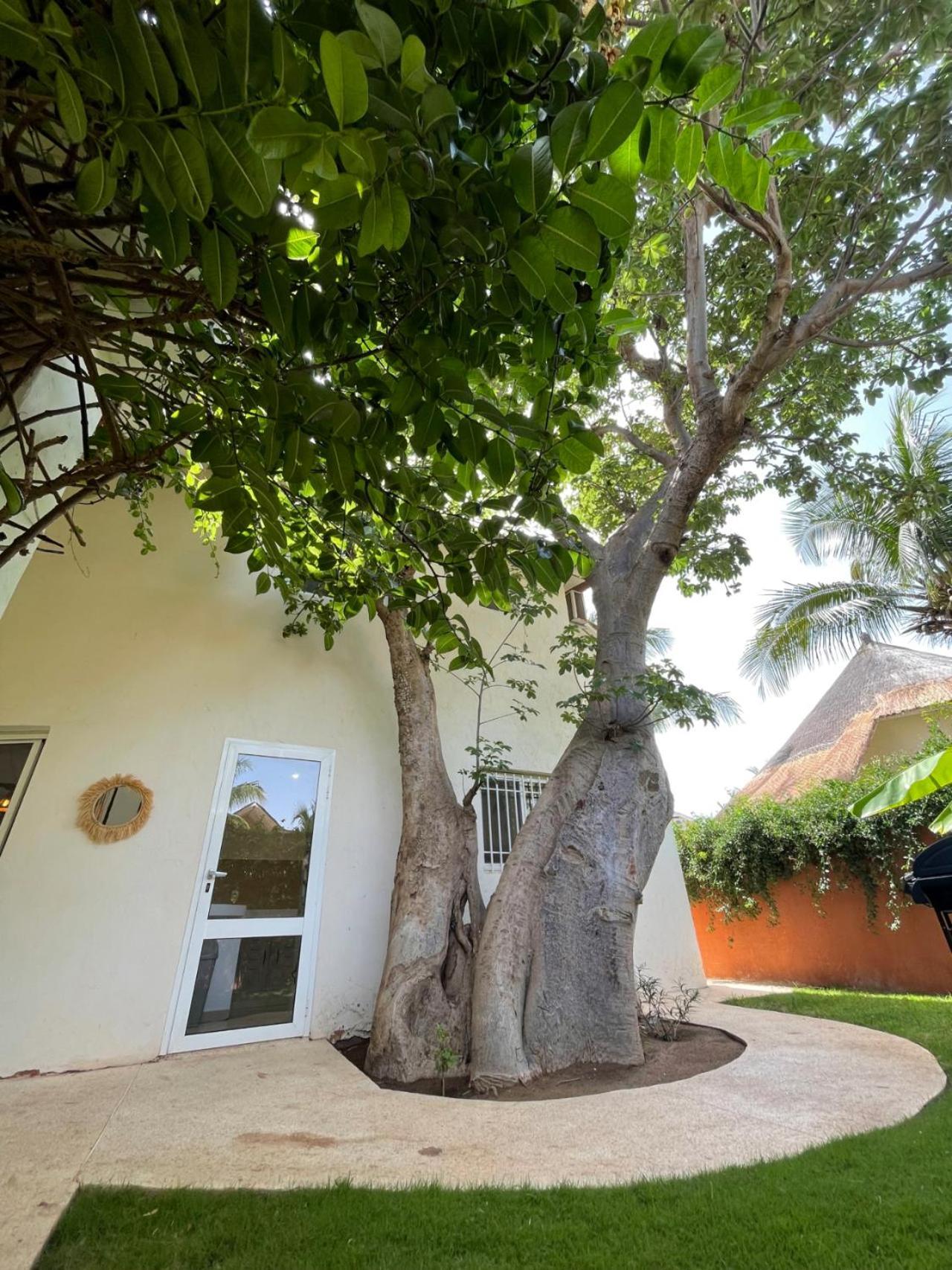 Agence Adjana Resort - Residence Du Port 3 Sali Tapé Kültér fotó
